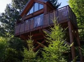 Ski House Szczyrk - Domek Na Kurzej Łapce