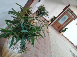 Pensiunea Hanzu Darius