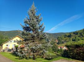 Les Sapins, hotell i Bussang