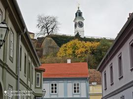 Zlatica Petrovaradin, hotel in Petrovaradin