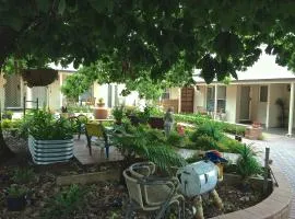 Hahndorf Oak Tree Cottages