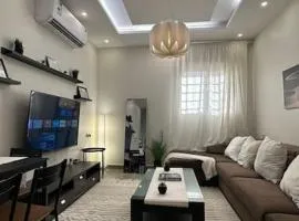 Modern cozy apartment