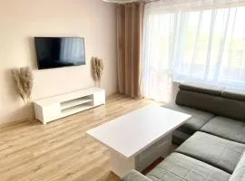 Apartament II Glamour Work&Relax, obok ARENY Gliwice, FV