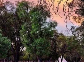 Box Flat Belle Off Grid Glamping