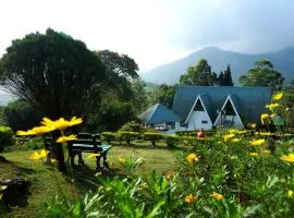 Camelot Resort