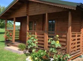 Pod Dziką Jabłonią