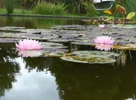 Las Rosas