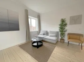 One Bedroom Apartment In Aalborg, Vesterbro 30