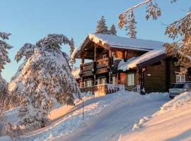 Pet Friendly Home In Nissedal With Wifi, cottage a Kyrkjebygdi