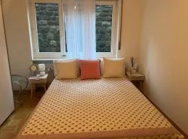 QUARTO DE CASAL Em APARTAMENTO LA PAZ