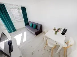 Crystal Apartment Katowice V