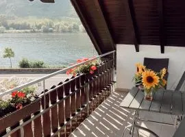 Ferienwohnung Moselflair mit direktem Blick auf die Mosel und Weinberge