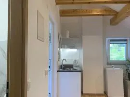 Apartment Teja