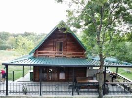 Brvnara Plavnica, hotel con estacionamiento en Gornja Plavnica