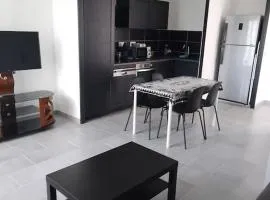 appartement 2 T2 neuf et élégant proche zénith