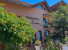 Pensiunea Sandra, hišnim ljubljenčkom prijazen hotel v mestu Ocna Şugatag