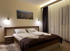 Pensiunea Andres, B&B di Sovata