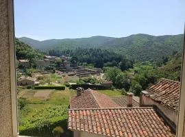 Appartement au coeur des Cévennes