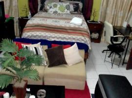 Silver Lining, holiday rental in Spanish Town