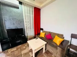 Nice and Sunny 1 room Studio Near City Center + Open Balcony