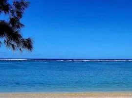 Le Petit Phœnix - Lagon