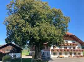 Biohof-Feichtinger, penginapan layan diri di Zell am Moos