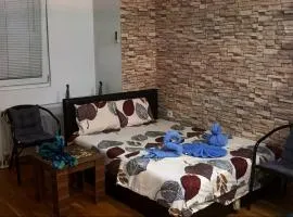 Wonderful Studio Apartment in Skopje center