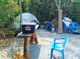 Camping e Balneário Rio dos Bugres: Porcas'ta bir kamp alanı