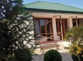 Villa Platinum