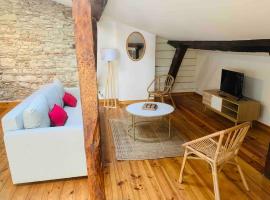 Spacieux appartement en plein coeur de Castres, hotell i Castres