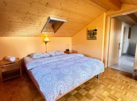 Maison Jedita