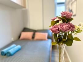 MMRent Mountain Room