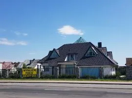 Tulipan