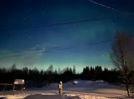 Koselig hytte med mulighet for nordlys og badestamp