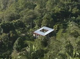 Red art house en reserva natural