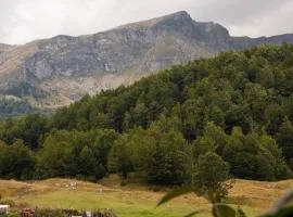 Apartmani Jelenača prizemlje