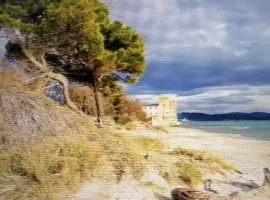 Hausemaremma 1 camera