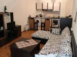 Apartment in Forest Glade Hotel