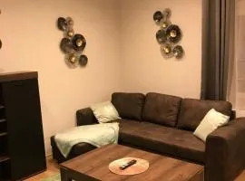 Mikra Homes24 in Zwickau