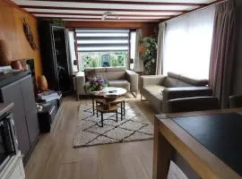 Veluwe Park Reewold Chalet Vision