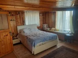 penthouse,wood wall,barbecue roof garden,authentic