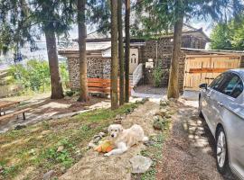 Mountain Home - Galyatető, cottage in Galyatető