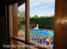 Piscine Jacuzzi Balnéo "La Palmeraie Oasis"