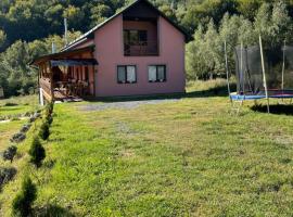 соколів камінь, hotel con estacionamiento en Novoselitsa