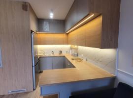 Queen Apartament Centrum z garażem, апартаменты/квартира в Миньск-Мазовецки