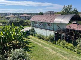 Ldzaa House, guest house in Lidzava