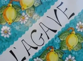 L'Agave