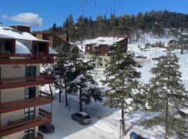Bakuriani inn Apartment, hotel en Bakuriani