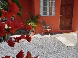 Cozy 1 br 1 bath apartment with free parking