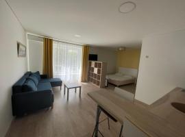 Perlos Apartamentai 2A, huisdiervriendelijk hotel in Birštonas